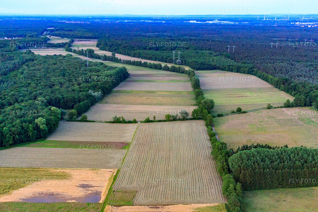 Luftbild: Bruchbach-Otterbachniederung in Kandel im Bundesland Rheinland-Pfalz in Deutschland. Foto: IMG_58088.jpg vom 16.06.2013 durch Werner Riehm/FLY-FOTO.de