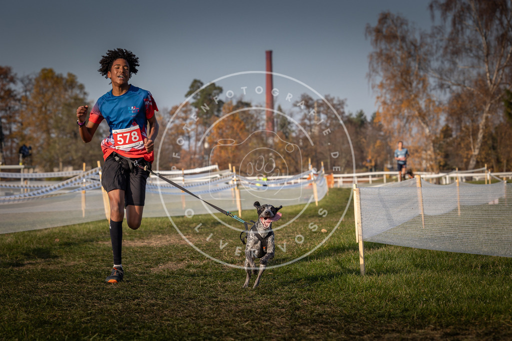 CaniXpix_0L8A9708 | Hundefotografie, Tierfotograf, Pfotenfotografie, Fotoshooting Hund, Hunde Portrait, Hundesport, Hundeportraits, Heideshooting, Hunde, Sportfotograf, Hundefotograf, Turnierhundsport, THS,  - Realisiert mit Pictrs.com