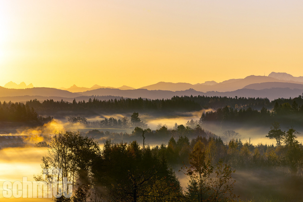 Traumhafter Sonnenaufgang und Morgennebel über dem Finkenmos bei Kißlegg im Allgäu | Traumhafter Sonnenaufgang über dem Finkenmoos bei Kißlegg: Sanfter Morgennebel liegt über der Landschaft, während das erste Licht den Himmel und die Allgäuer Berge in warme Farben taucht. Ein stiller und magischer Moment, der die besondere Schönheit des frühen Morgens einfängt. - Realisiert mit Pictrs.com
