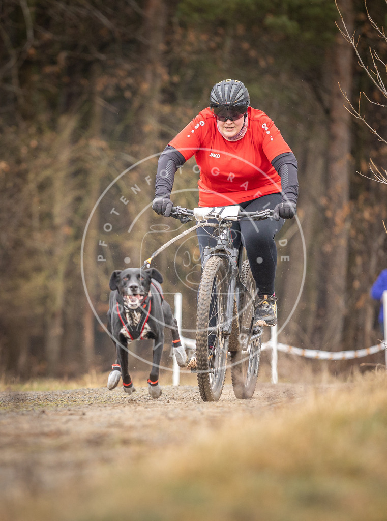 DV3A3330 | Hundefotografie, Tierfotograf, Pfotenfotografie, Fotoshooting Hund, Hunde Portrait, Hundesport, Hundeportraits, Heideshooting, Hunde, Sportfotograf, Hundefotograf, Turnierhundsport, THS,  - Realisiert mit Pictrs.com