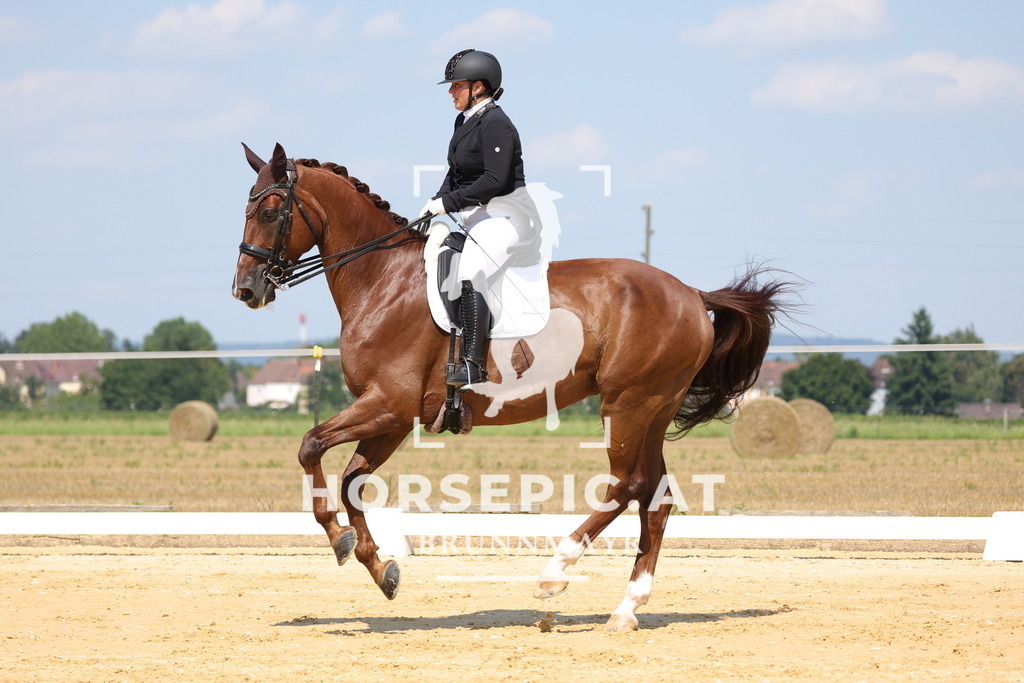 0P6A7383 | Willkommen bei Brunnmayr - Design & Fotografie – Ihrem Spezialisten für Reitturniere und Pferdeveranstaltungen in Oberösterreich, Salzburg und Bayern! Seit über 17 Jahren sind wir leidenschaftlich dabei.