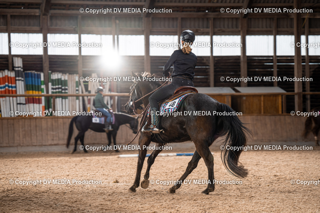 Heidelberg Tag 1-450 | dv-media-shop - Realisiert mit Pictrs.com