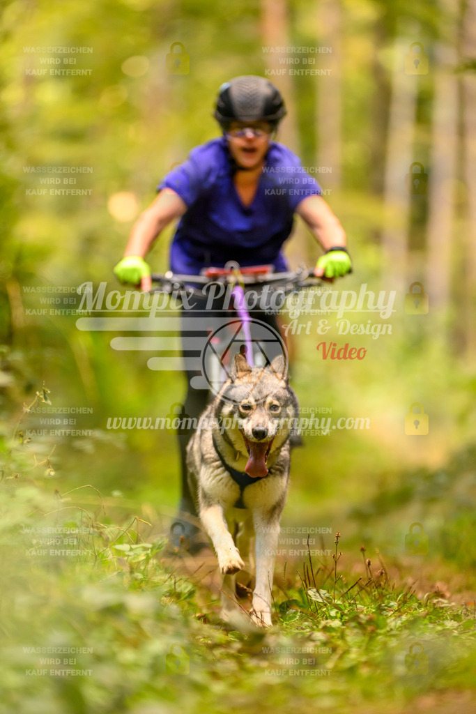 MompixPhotography_Yens2025_B2-109 | PayLife