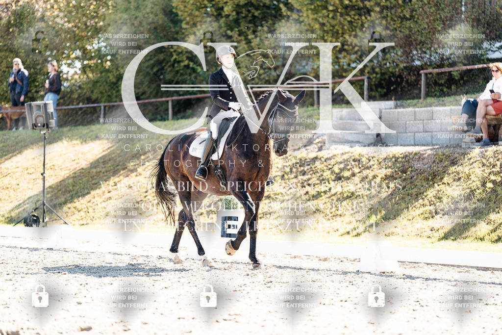 CK908909 | Turnierfotografie Pferdefotografie Trier Rheinland-Pfalz Pferdesport Reitsport Tierfotografie Sportfotografie Pferdevideo Pferdevideografie Equestrianvideography equestrianphotography  - Realisiert mit Pictrs.com