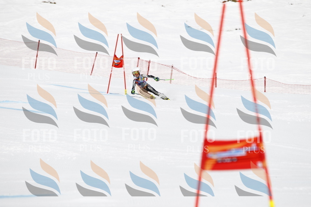 _U3G6309 | holidayphoto