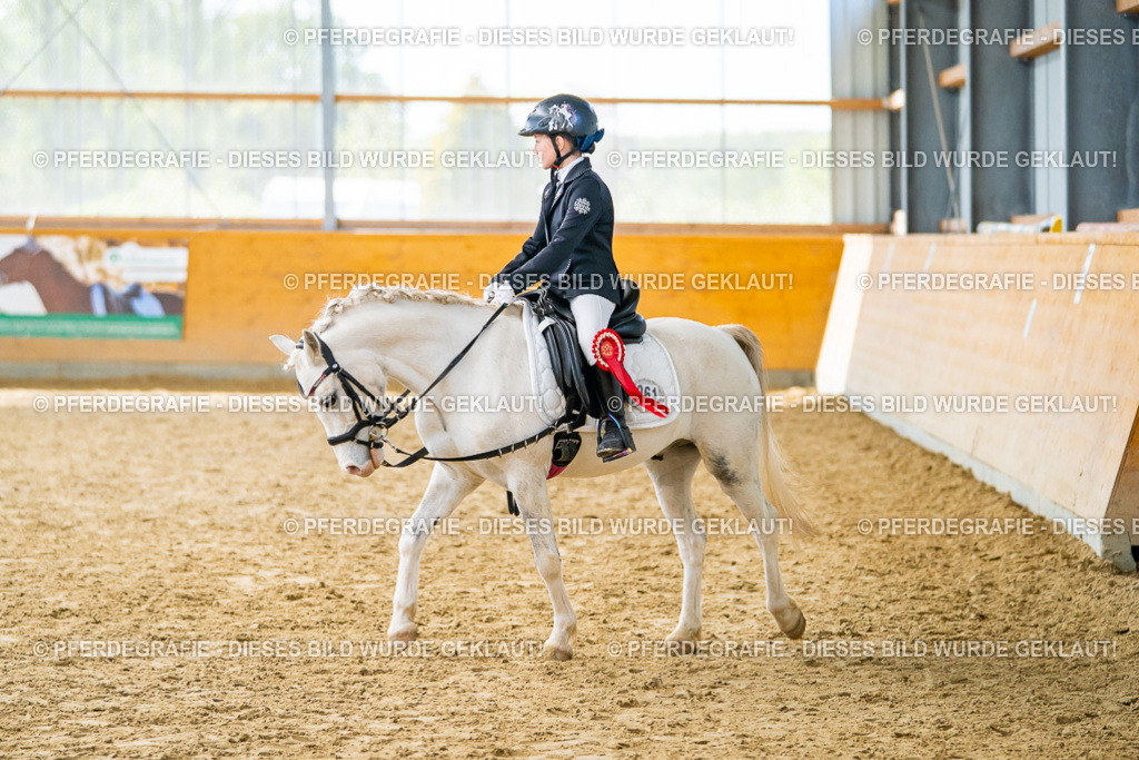 DSC01197 | Pferdegrafie