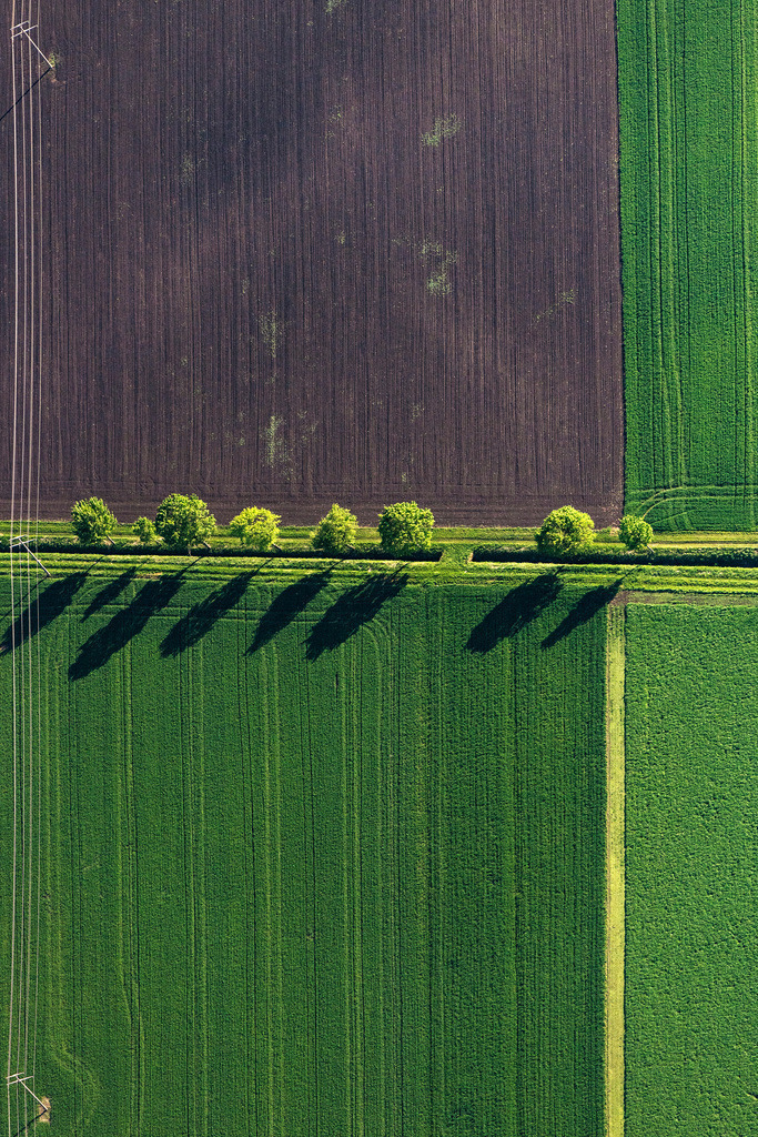 dr__0027214.jpg | NöRDLINGEN 14.05.2019 Senkrecht- Luftbild aus der Satelliten- Perspektive vom Baum mit Schattenbildung durch Lichteinstrahlung auf einem Feld in Nördlingen im Bundesland Bayern, Deutschland. // Vertical aerial view from the satellite perspective of the tree with shadow forming by light irradiation on a field in Noerdlingen in the state Bavaria, Germany. Foto: Daniel Reiter