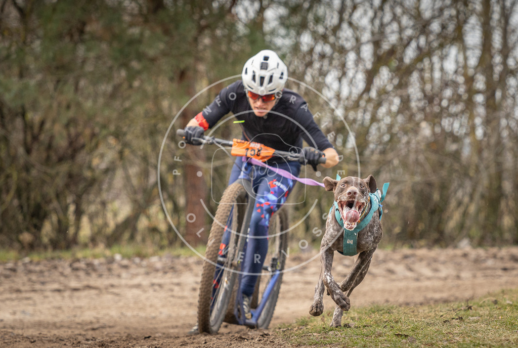 Pfotenfotografie_DV3A9248 | Hundefotografie, Tierfotograf, Pfotenfotografie, Fotoshooting Hund, Hunde Portrait, Hundesport, Hundeportraits, Heideshooting, Hunde, Sportfotograf, Hundefotograf, Turnierhundsport, THS,  - Realisiert mit Pictrs.com