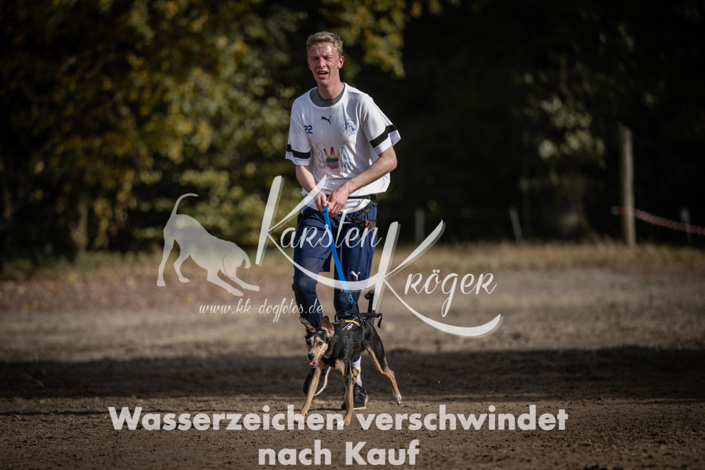 1212_ZZ93621 | kk-dogfotos