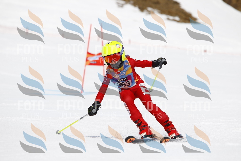 _U3G6587 | holidayphoto