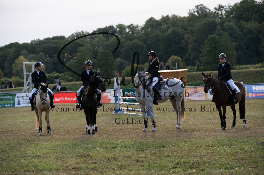 A7V08004 | Pferdefotograf