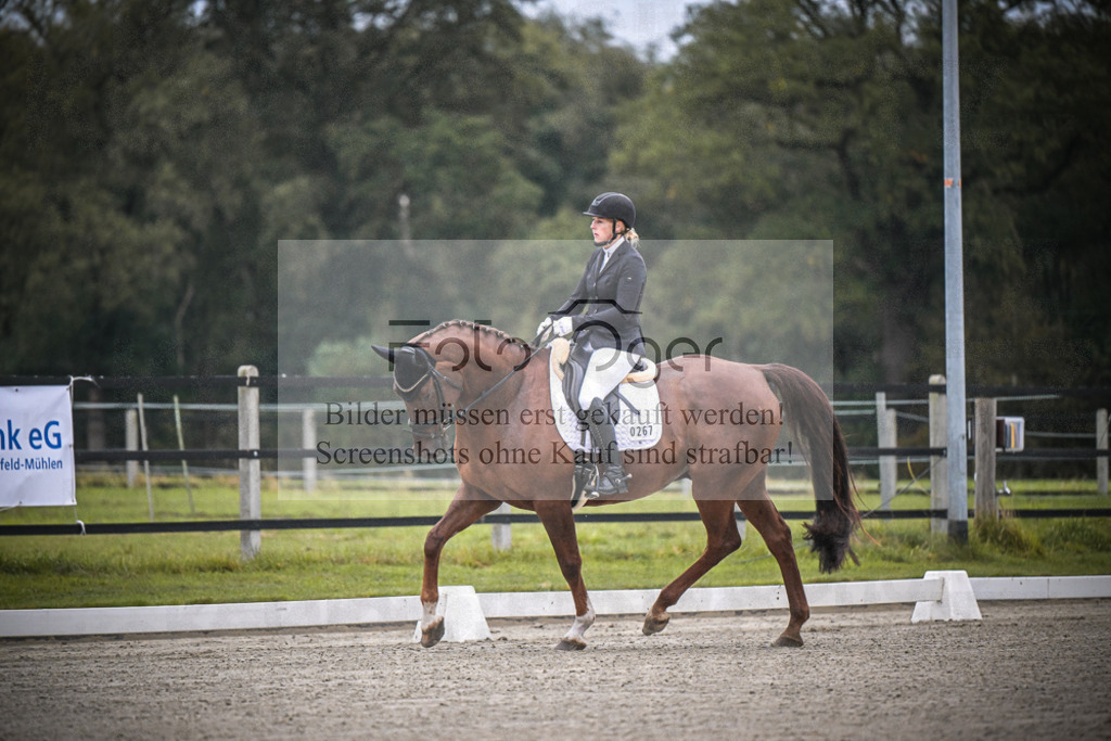 DOS_0022 | Entdecke hochwertige Reitturnierfotos von Foto Oger. Professionell, emotional und authentisch – jetzt Lieblingsmomente im Shop bestellen.Deutschlandweite Turnierfotografie. - Realisiert mit Pictrs.com