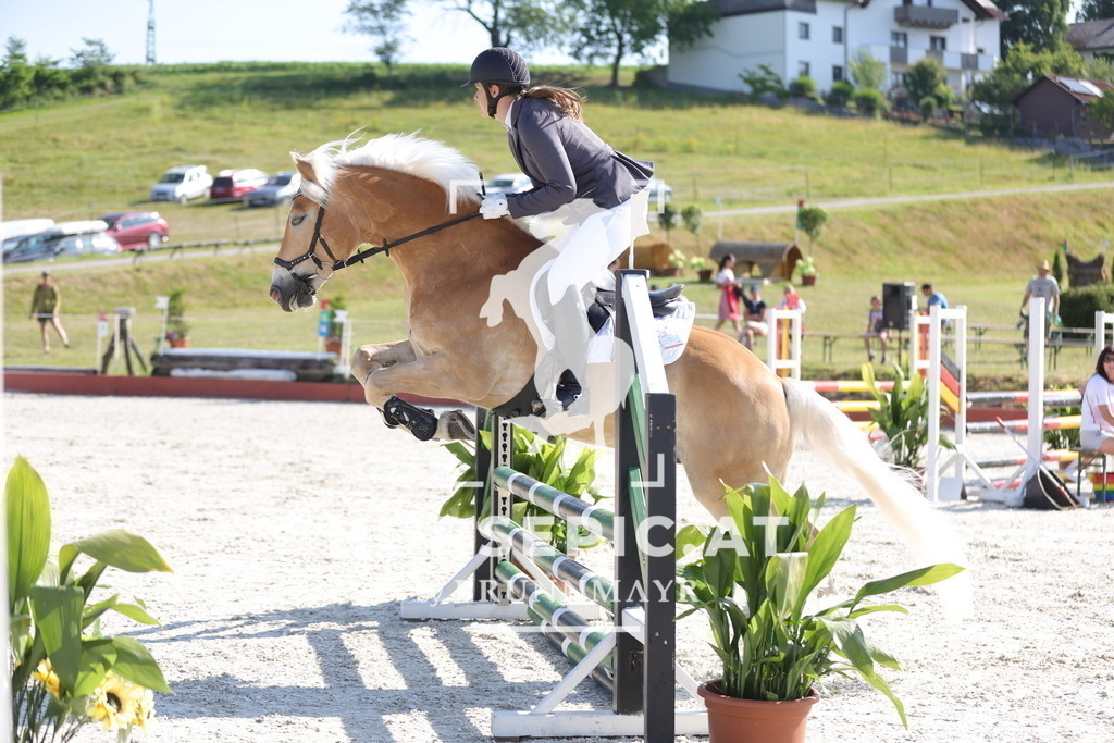 0P6A7308 | Willkommen bei Brunnmayr - Design & Fotografie – Ihrem Spezialisten für Reitturniere und Pferdeveranstaltungen in Oberösterreich, Salzburg und Bayern! Seit über 17 Jahren sind wir leidenschaftlich dabei.