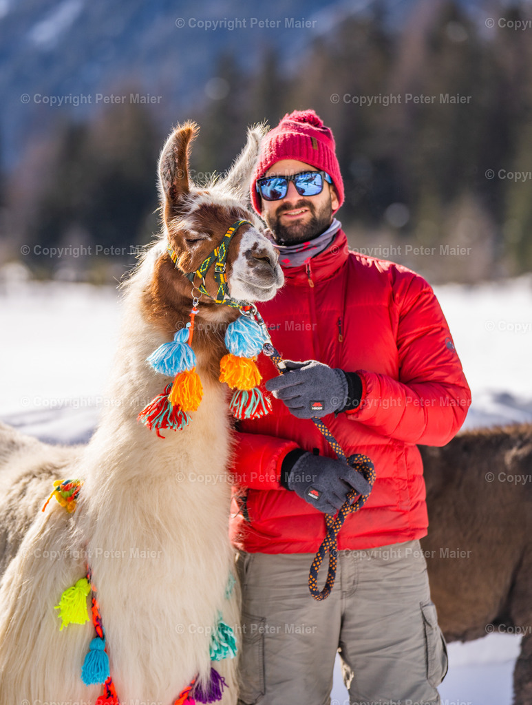Lama_Wanderung_Winter_Stapitzer_See-177 | piet_flosse