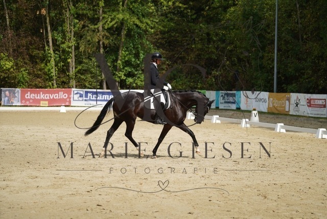 VAN00997 | Marie Giesen Fotografie - Realisiert mit Pictrs.com