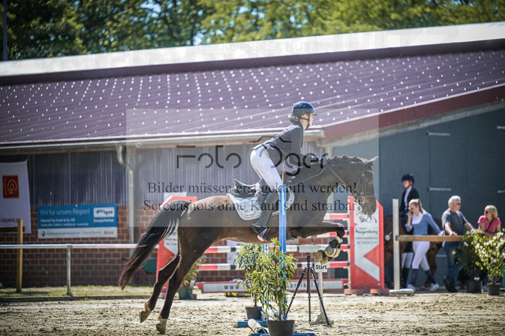 DOS_1463 | Entdecke hochwertige Reitturnierfotos von Foto Oger. Professionell, emotional und authentisch – jetzt Lieblingsmomente im Shop bestellen.Deutschlandweite Turnierfotografie. - Realisiert mit Pictrs.com