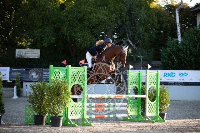 2B4A0020 | pixelfaenger - Realisiert mit Pictrs.com