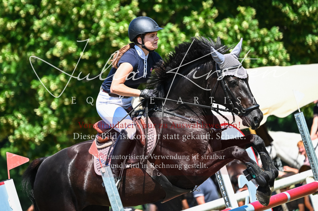 DSC_1060 | Pferde- und Turnierfotografie in Westsachsen. Pferdeportraits, Auftragszeichnungen und intuitive Kunst.