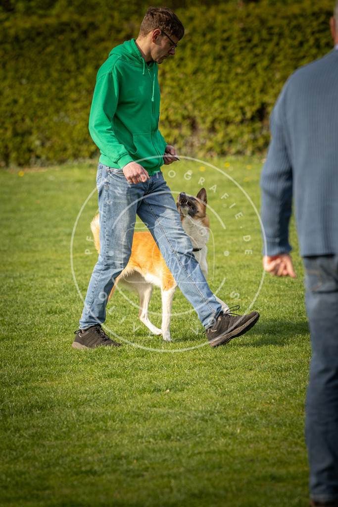 Pfotenfotografie_DV3A4884 | Hundefotografie, Tierfotograf, Pfotenfotografie, Fotoshooting Hund, Hunde Portrait, Hundesport, Hundeportraits, Heideshooting, Hunde, Sportfotograf, Hundefotograf, Turnierhundsport, THS,  - Realisiert mit Pictrs.com