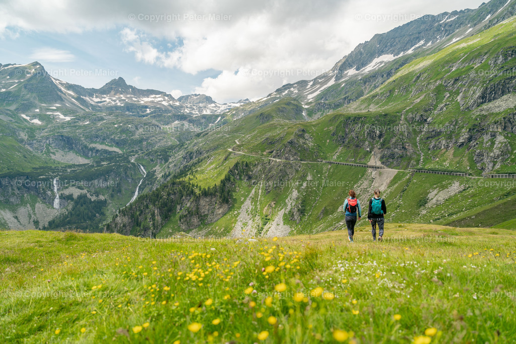 Mölltaler_Gletscher_Sommer_24-1517 | piet_flosse