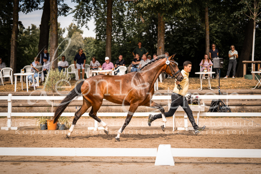 6.Fr00132 | Leoni Ertmer Photography - Realisiert mit Pictrs.com