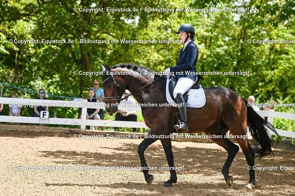 20230716_03_Dressurprfg. Kl.L - Tr._0005 | equistock