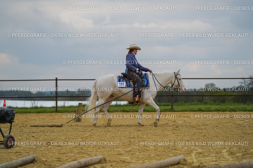 DSC07474 | Pferdegrafie