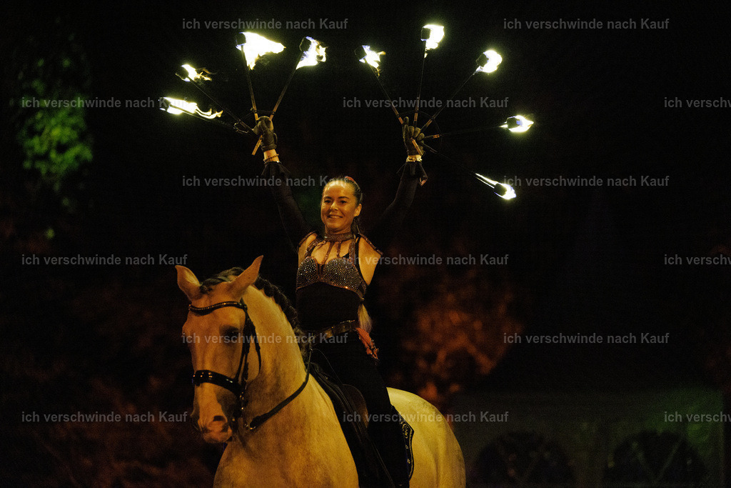 FHClassics-374 | working equitationturnier fotograf videograf stoibphotography marixx film working equitation deutschland reitsport turnierfotografie eventfotografie equestrian events