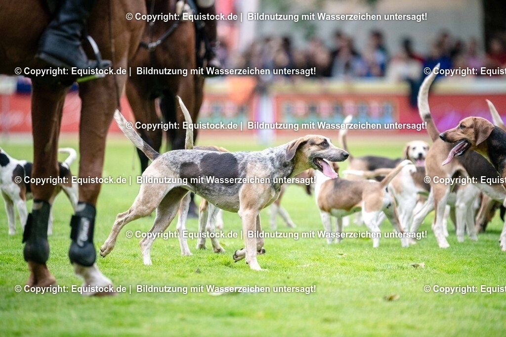 20250606_Lange-Pferdenacht_0470 | Foto: Thomas Hartig