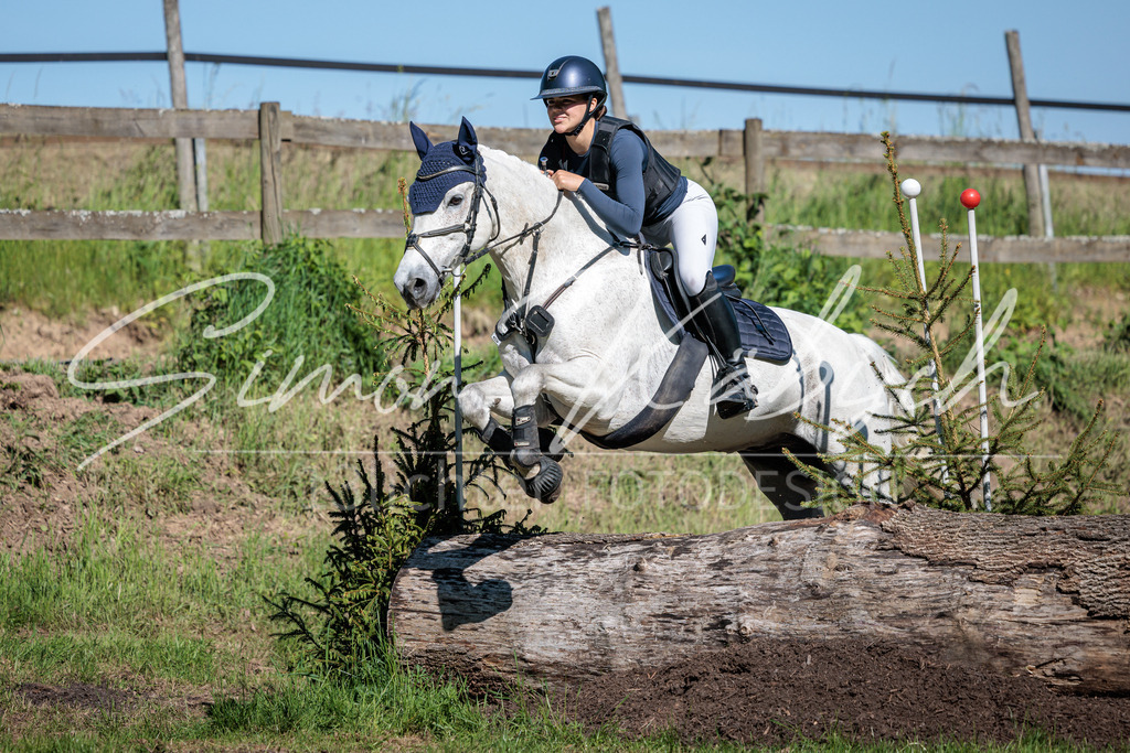 20260523-_3LI6648 | Tierfotografie Pferde, Hunde, Katzen, Haustiere.
Turnierfotografie Reitturniere, Reiten, Springreiten, Dressur in Hanau, dem Main-Kinzig-Kreis und dem Rhein-Main- Gebiet um Frankfurt