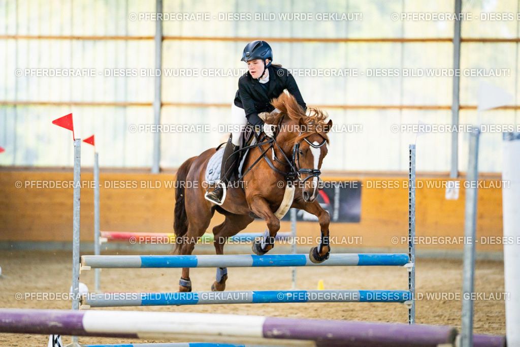 DSC00464 | Pferdegrafie