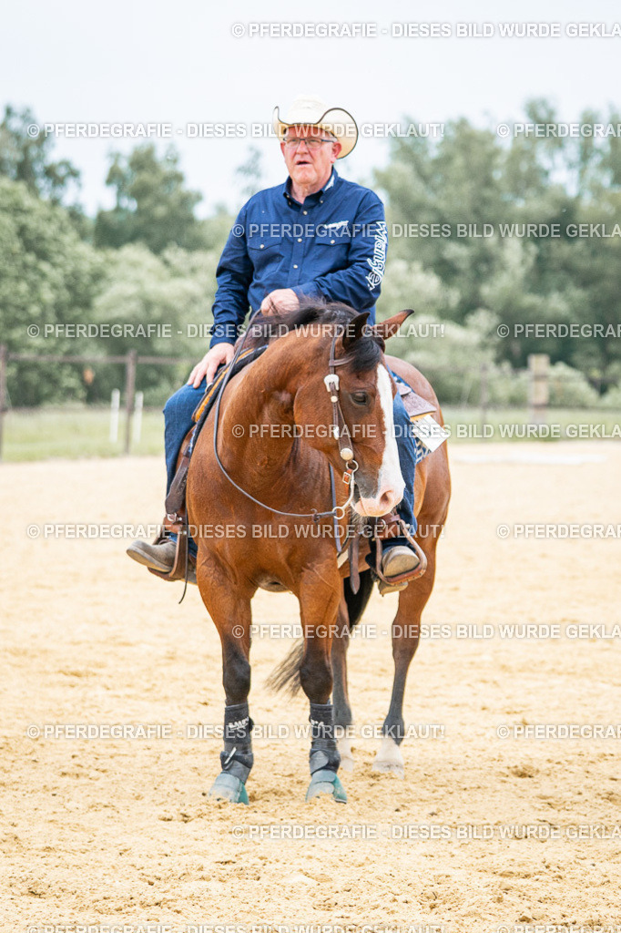 DSC06903 | Pferdegrafie