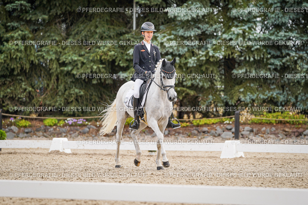 DSC02111 | Pferdegrafie