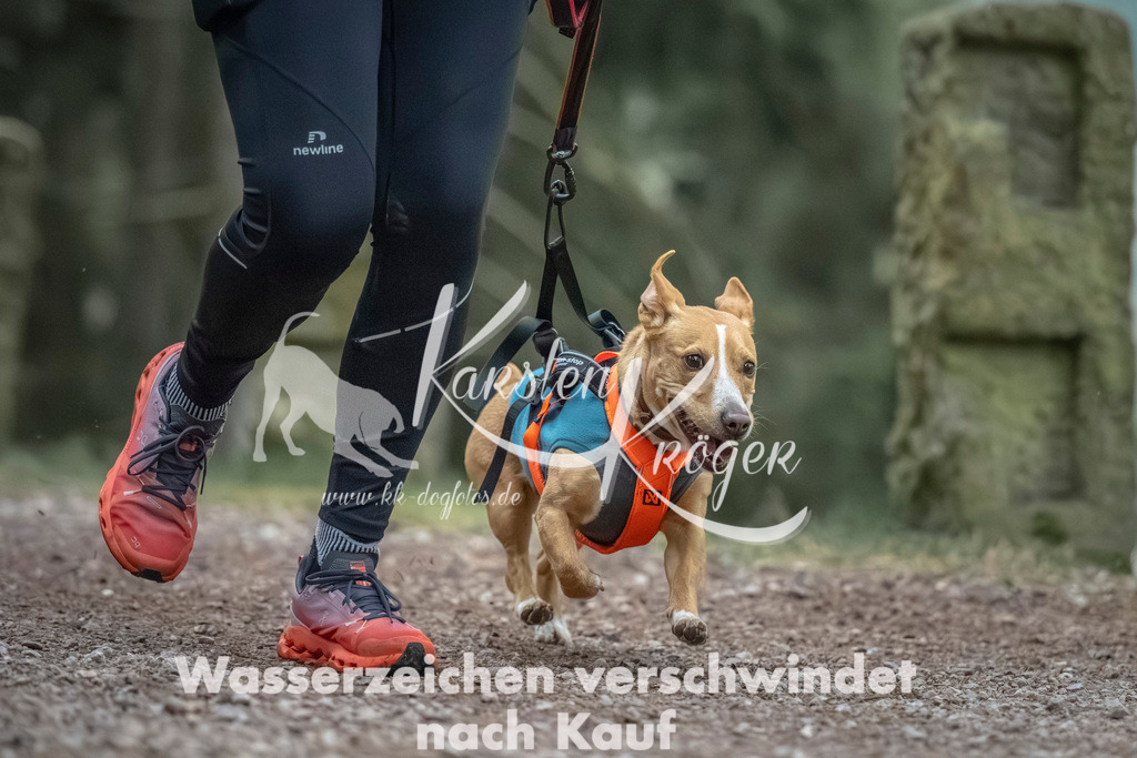 0828_ZZ91588 | kk-dogfotos