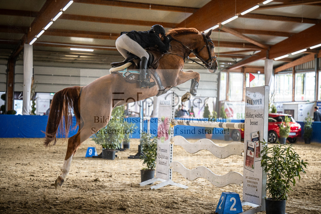 DOS_1333 | Entdecke hochwertige Reitturnierfotos von Foto Oger. Professionell, emotional und authentisch – jetzt Lieblingsmomente im Shop bestellen.Deutschlandweite Turnierfotografie. - Realisiert mit Pictrs.com