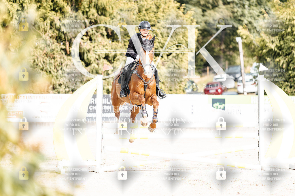 CK902012 | Turnierfotografie Pferdefotografie Trier Rheinland-Pfalz Pferdesport Reitsport Tierfotografie Sportfotografie Pferdevideo Pferdevideografie Equestrianvideography equestrianphotography  - Realisiert mit Pictrs.com