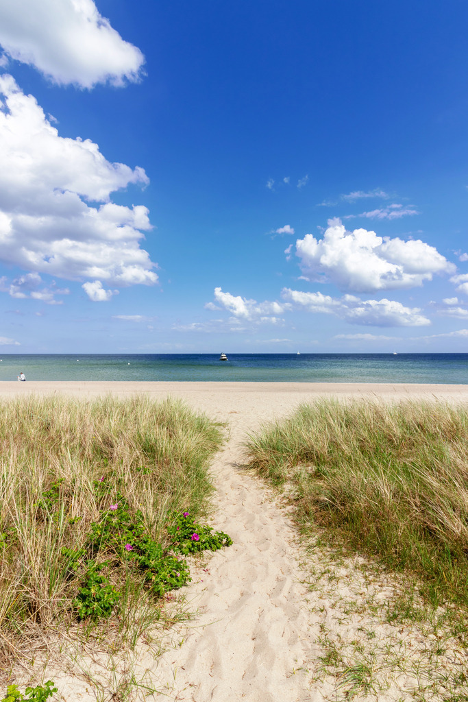 Wandbild: Sandweg zum Sandstrand in Weidefeld | Dieses wunderschöne Wandbild im Hochformat fängt die ruhige Schönheit eines Sandweges zum Strand in Weidefeld ein. Der warme Sandweg und der Sandstrand verleihen dem Bild eine angenehme Sandfarbe, während der grüne und beige Strandhafer das natürliche Küstenambiente unterstreicht. Der fast wolkenlose blaue Himmel sorgt für eine harmonische und entspannende Szenerie. - Realisiert mit Pictrs.com