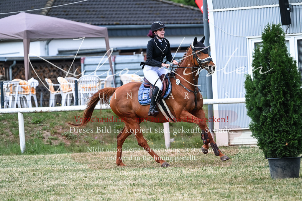DSC_9090 | Pferde- und Turnierfotografie in Westsachsen. Pferdeportraits, Auftragszeichnungen und intuitive Kunst.
