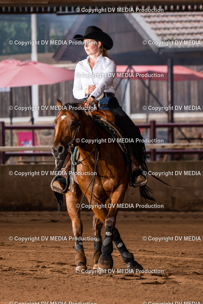 Erbach Tag 2-1047 | dv-media-shop - Realisiert mit Pictrs.com