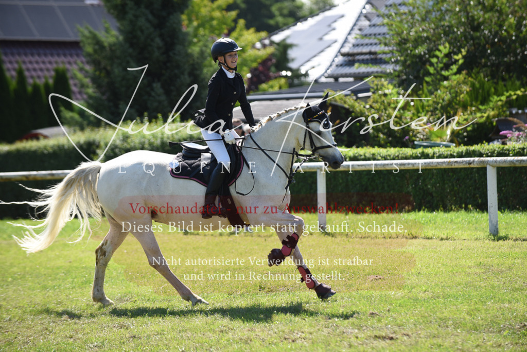 DSC_9494 | Pferde- und Turnierfotografie in Westsachsen. Pferdeportraits, Auftragszeichnungen und intuitive Kunst.