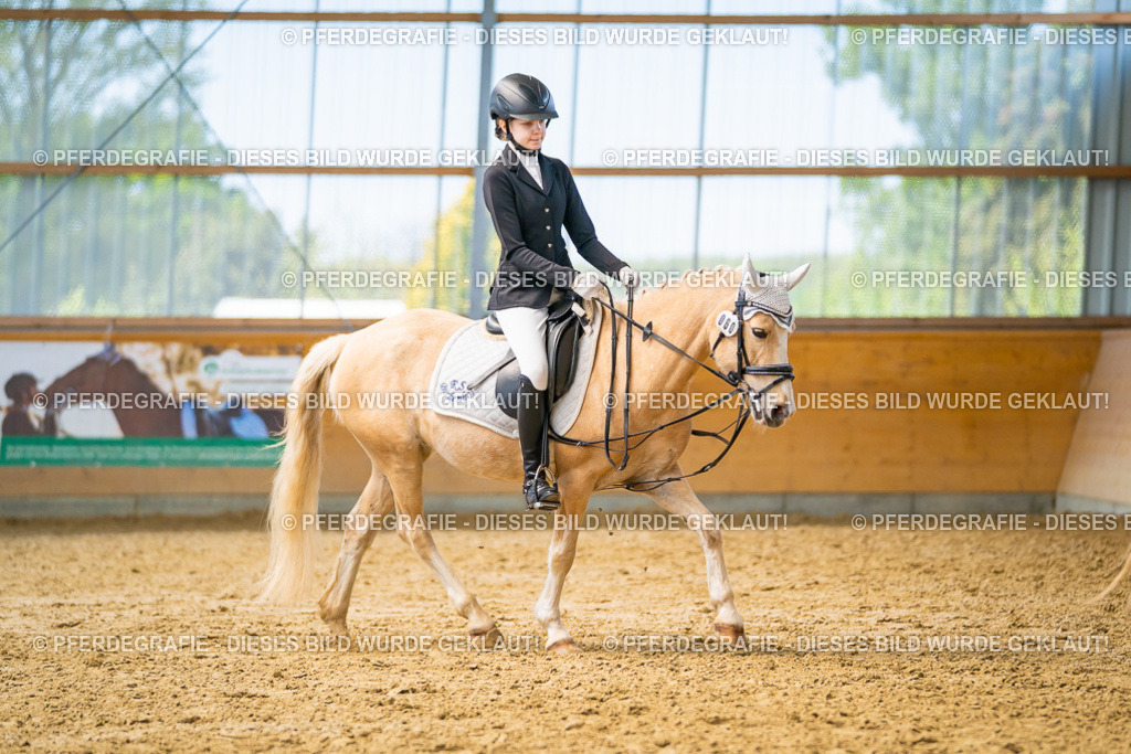 DSC08599 | Pferdegrafie