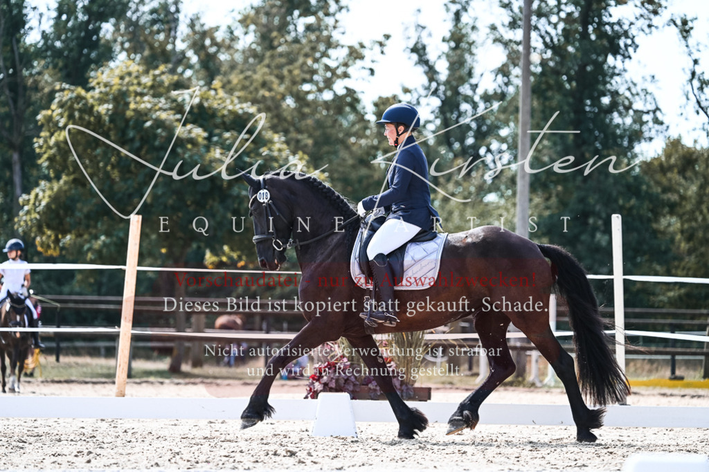 DSC_5380 | Pferde- und Turnierfotografie in Westsachsen. Pferdeportraits, Auftragszeichnungen und intuitive Kunst.