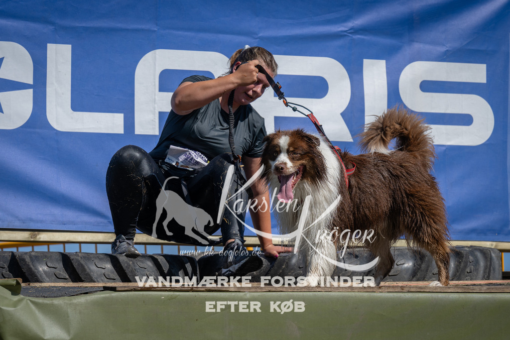 1208_ZZ94129 | kk-dogfotos