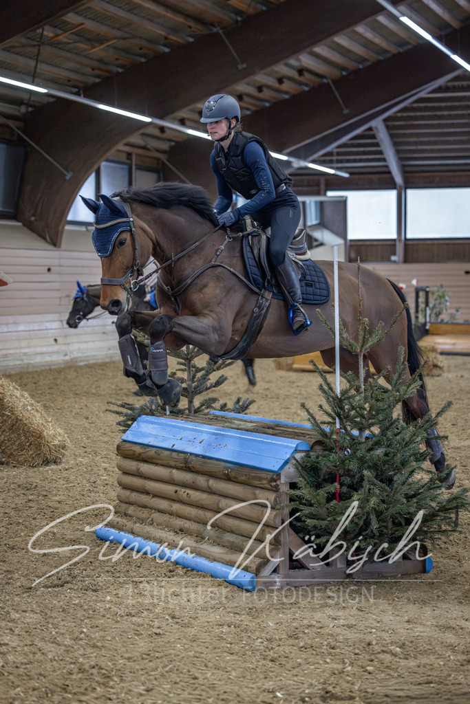 20260221-_3LI9400 | Tierfotografie Pferde, Hunde, Katzen, Haustiere.
Turnierfotografie Reitturniere, Reiten, Springreiten, Dressur in Hanau, dem Main-Kinzig-Kreis und dem Rhein-Main- Gebiet um Frankfurt
