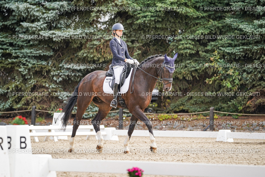 DSC01441 | Pferdegrafie