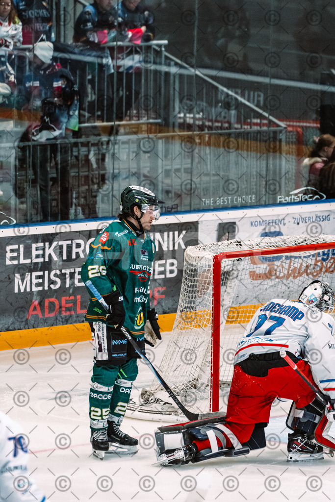 Alligators_vs_Selb_13_09_2026-31 | Die Fotogalerie von Daddel: professionelle Bilder von Sport, Events und Unternehmen aus Franken. Jetzt Galerien durchstöbern und Lieblingsfotos bestellen. - Realisiert mit Pictrs.com