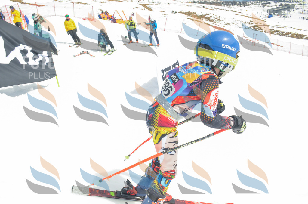 _ELE8028 | holidayphoto