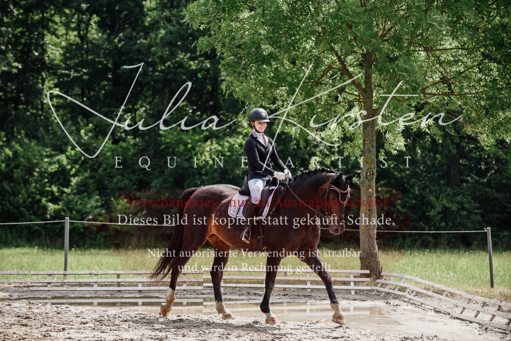 DSC_0606 | Pferde- und Turnierfotografie in Westsachsen. Pferdeportraits, Auftragszeichnungen und intuitive Kunst.