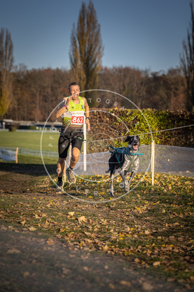 CaniXpix_DV3A4066 | Hundefotografie, Tierfotograf, Pfotenfotografie, Fotoshooting Hund, Hunde Portrait, Hundesport, Hundeportraits, Heideshooting, Hunde, Sportfotograf, Hundefotograf, Turnierhundsport, THS,  - Realisiert mit Pictrs.com