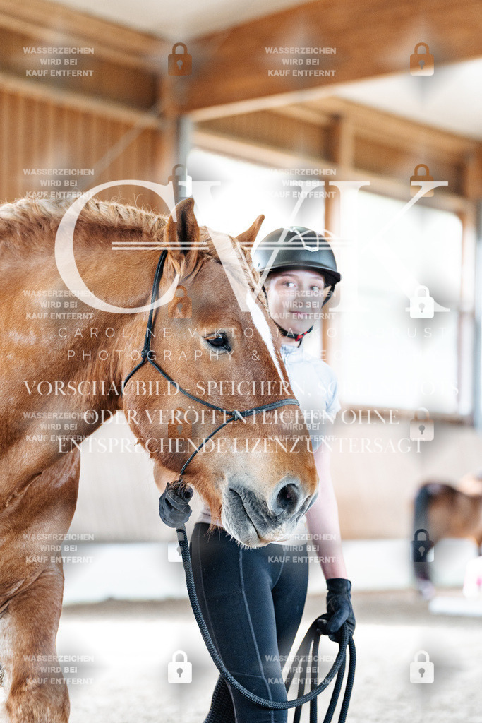 CK905491 | Turnierfotografie Pferdefotografie Trier Rheinland-Pfalz Pferdesport Reitsport Tierfotografie Sportfotografie Pferdevideo Pferdevideografie Equestrianvideography equestrianphotography  - Realisiert mit Pictrs.com